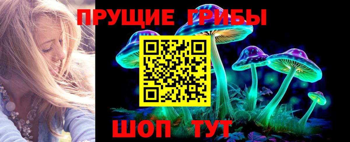 Псилоцибиновые грибы мицелий  Псилоцибиновые грибы GOLDEN TEACHER  Вход с VPN  Россошь 